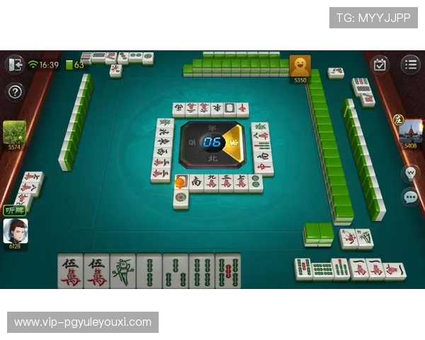 专家解读PG游戏麻将的玩法创新与安全保障措施,保障玩家权益 专家解读PG游戏麻将的玩法创新与安全保障措施,保障玩家权益